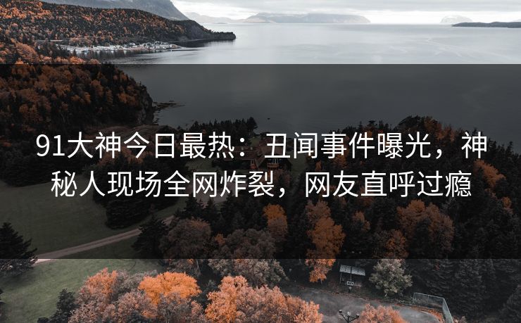 91大神今日最热：丑闻事件曝光，神秘人现场全网炸裂，网友直呼过瘾