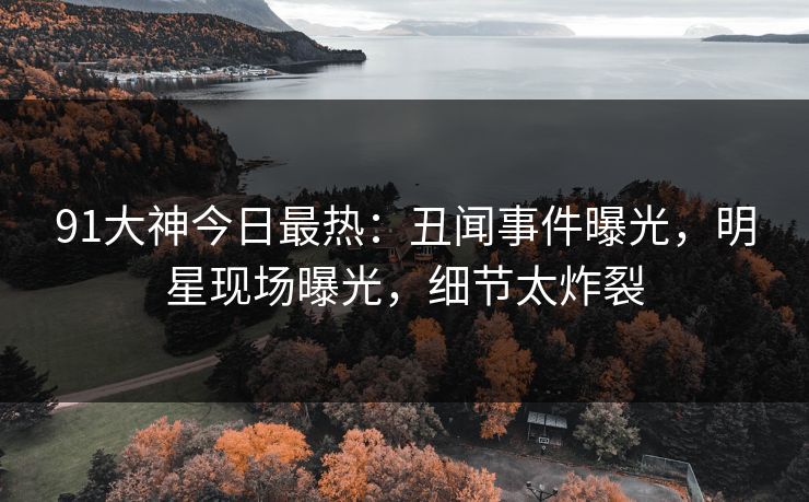 91大神今日最热：丑闻事件曝光，明星现场曝光，细节太炸裂