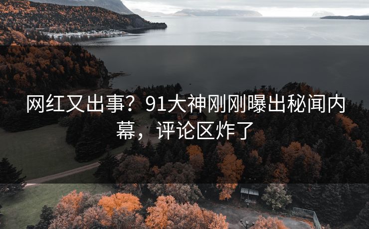 网红又出事？91大神刚刚曝出秘闻内幕，评论区炸了