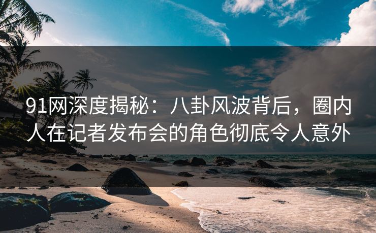 91网深度揭秘：八卦风波背后，圈内人在记者发布会的角色彻底令人意外